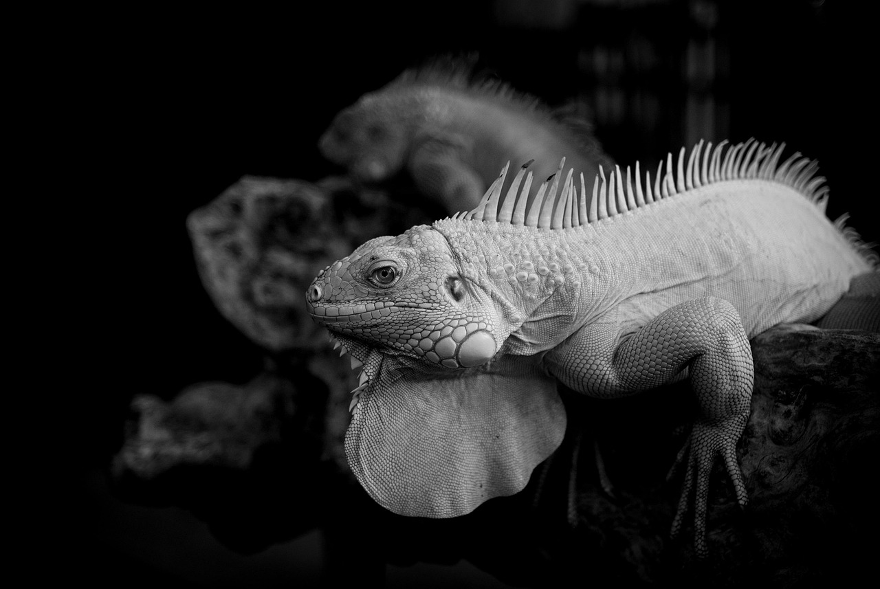 ロットとはFX取引における重要な概念とは？