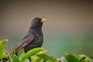リスクをヘッジする効果を高める方法は？